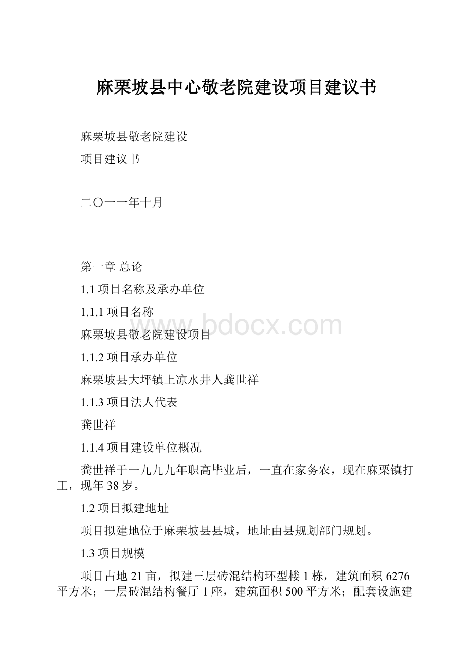 麻栗坡县中心敬老院建设项目建议书.docx