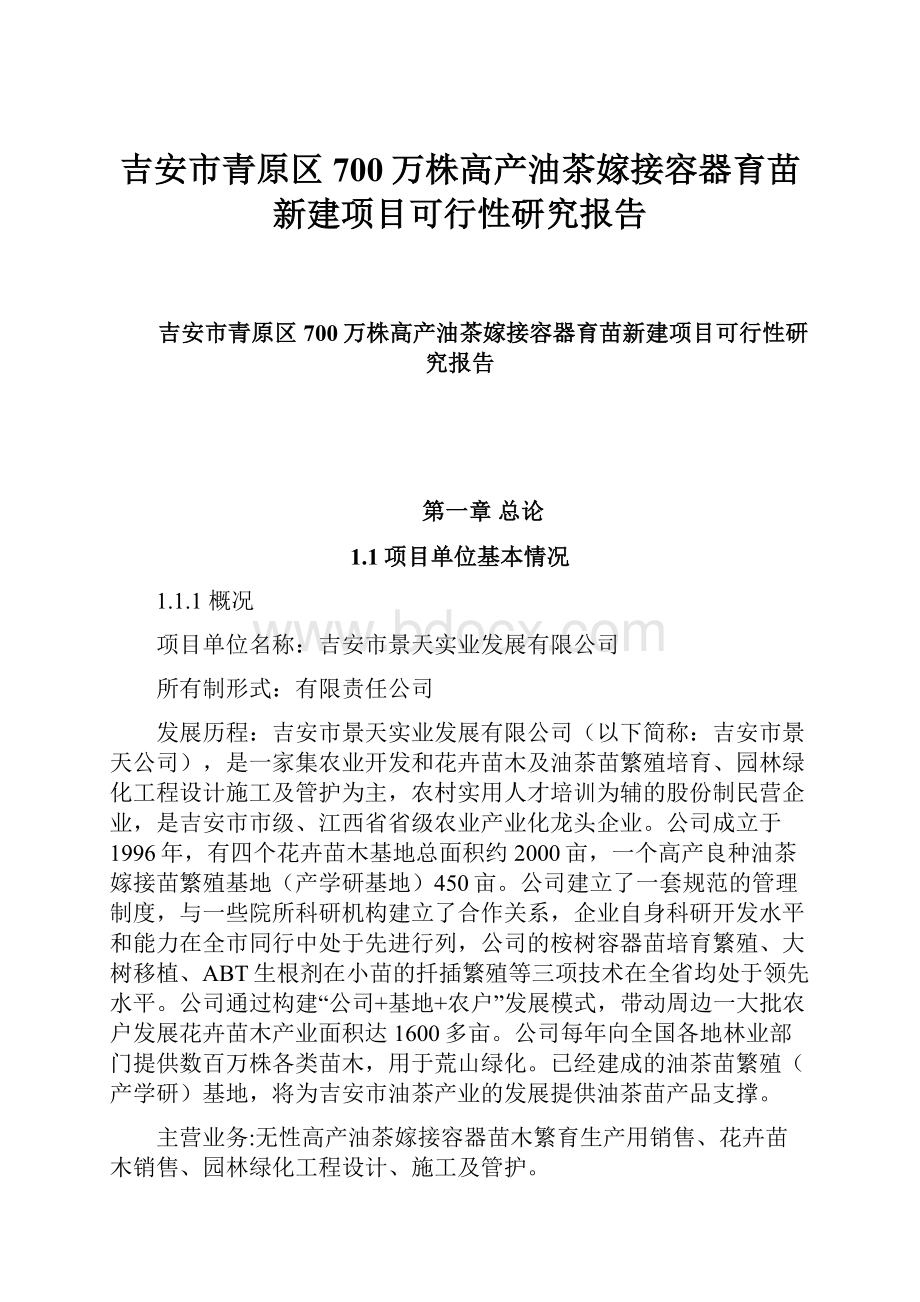 吉安市青原区700万株高产油茶嫁接容器育苗新建项目可行性研究报告.docx_第1页