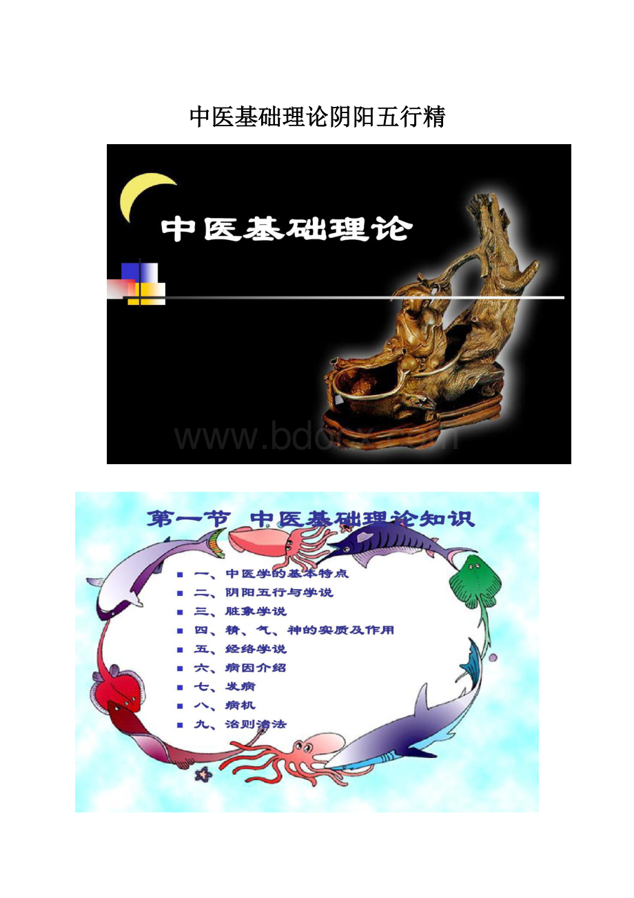 中医基础理论阴阳五行精.docx