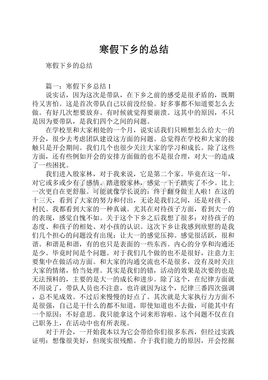 寒假下乡的总结.docx