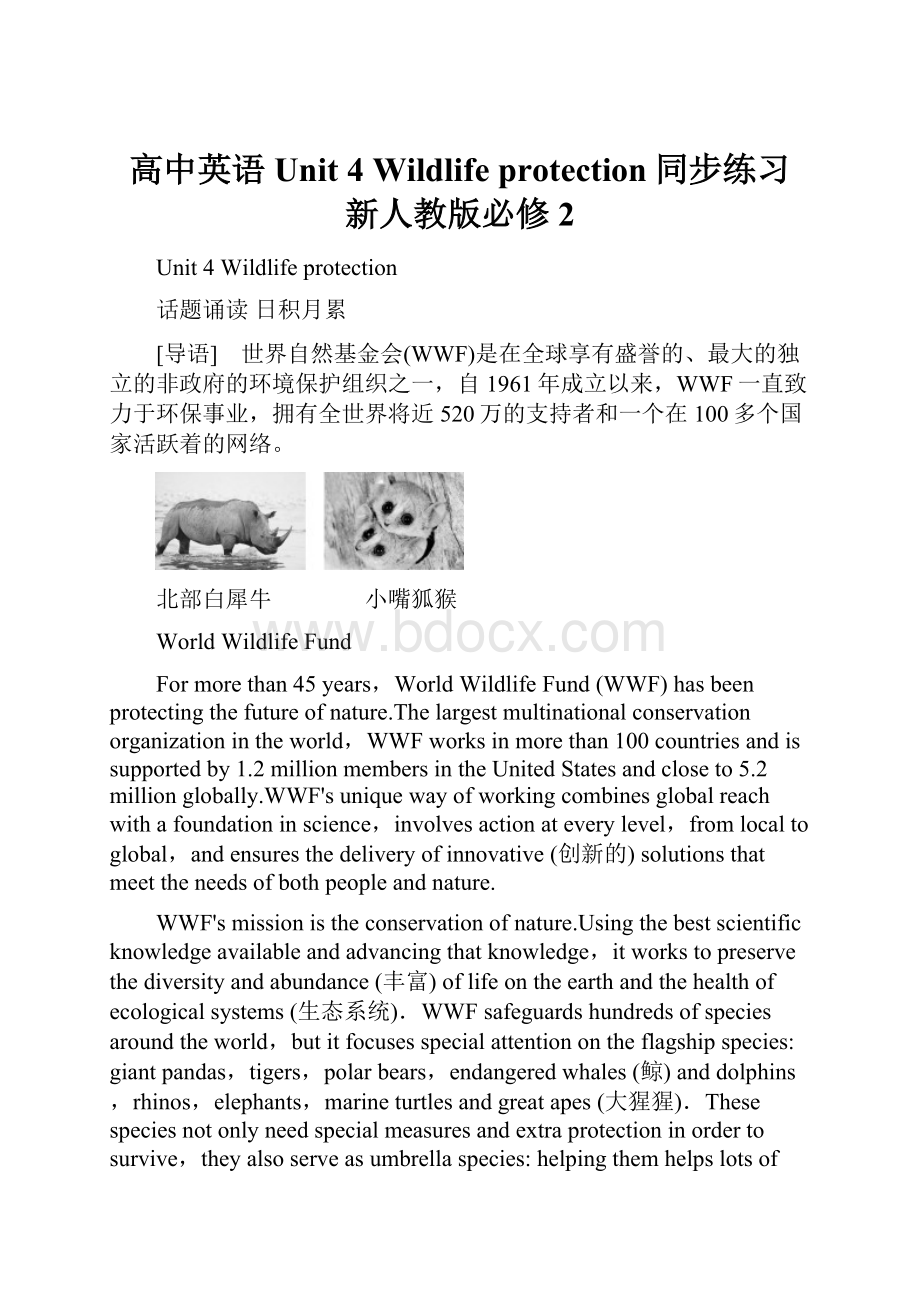 高中英语 Unit 4 Wildlife protection同步练习 新人教版必修2.docx