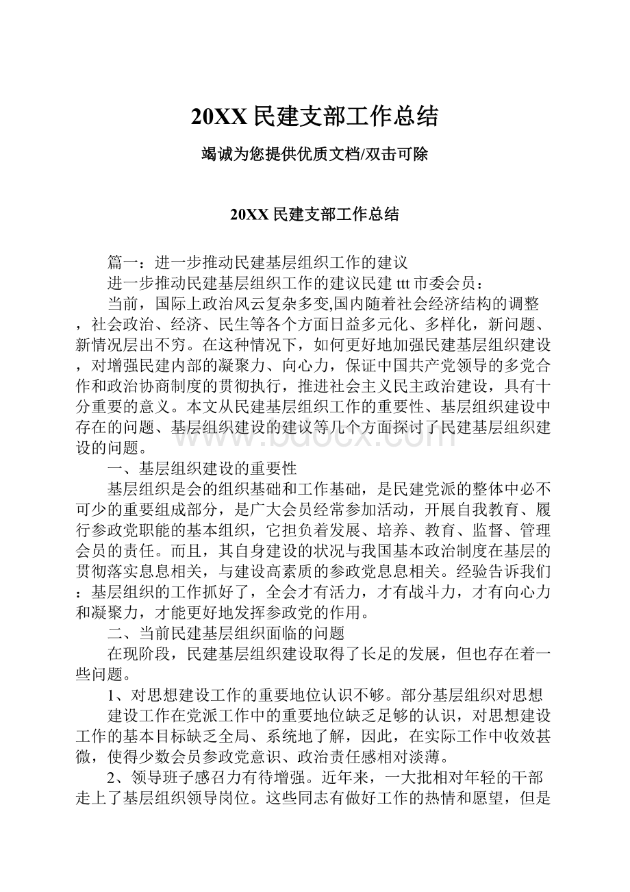 20XX民建支部工作总结.docx_第1页