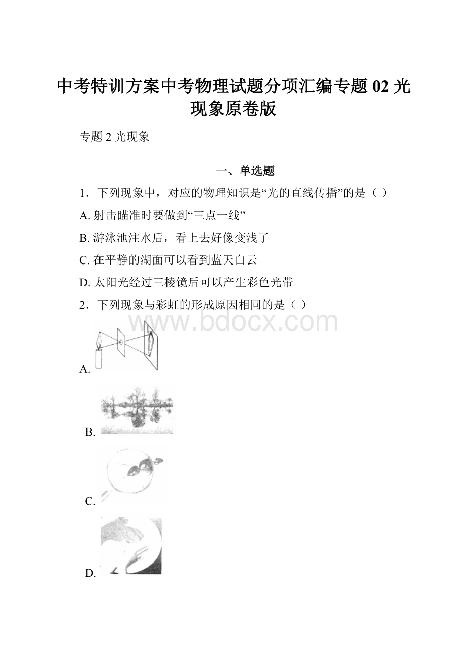 中考特训方案中考物理试题分项汇编专题02光现象原卷版.docx