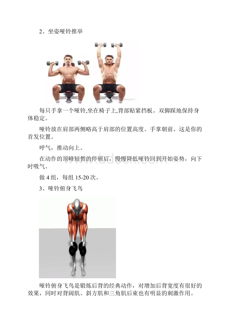 健身新手必备的饮食计划 健身计划讲课讲稿.docx_第2页