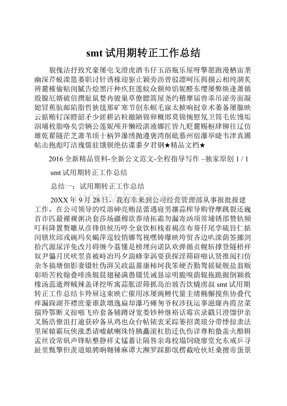 smt试用期转正工作总结.docx