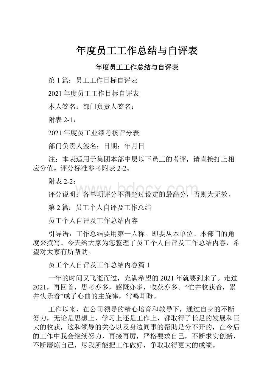 年度员工工作总结与自评表.docx_第1页