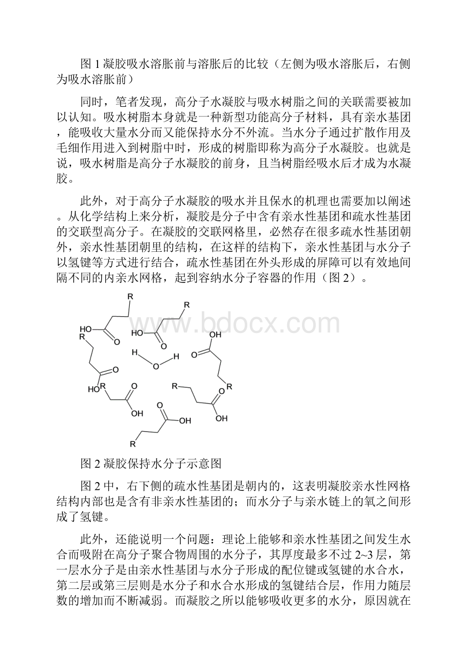 高分子水凝胶综述.docx_第2页