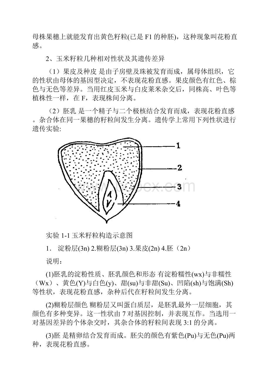 遗传育种实验作物doc.docx_第2页