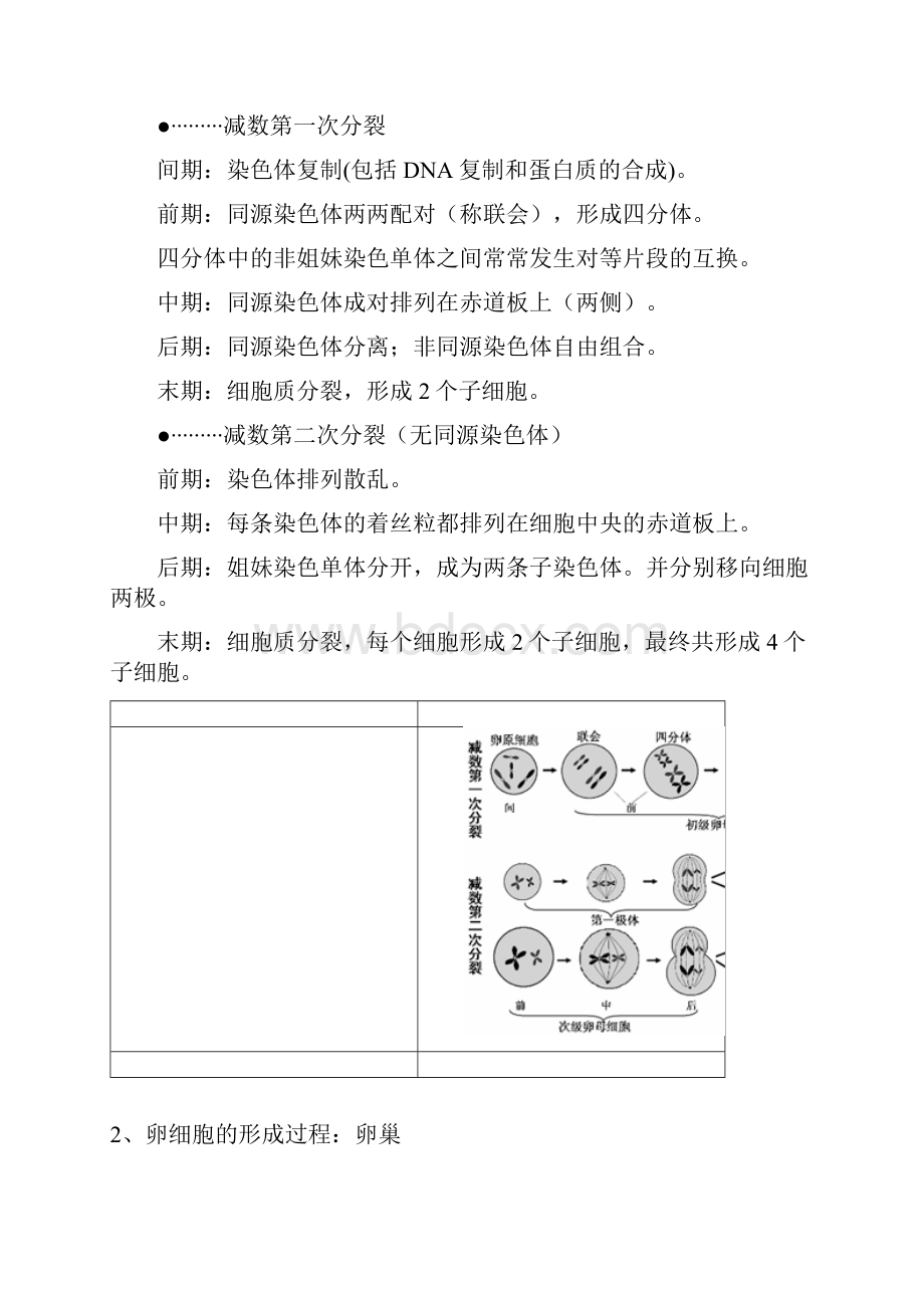 生物必修2复习提纲.docx_第2页