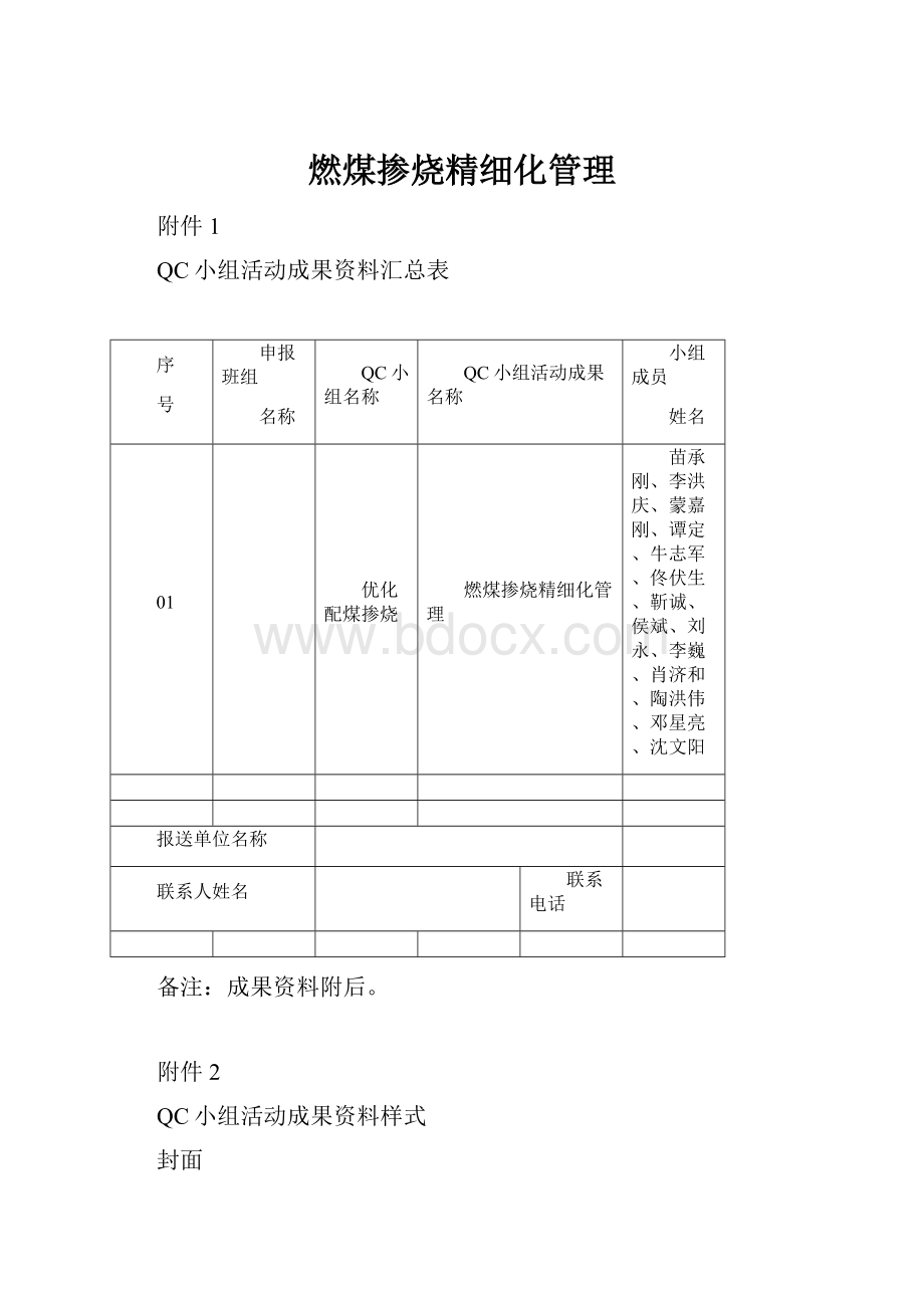 燃煤掺烧精细化管理.docx