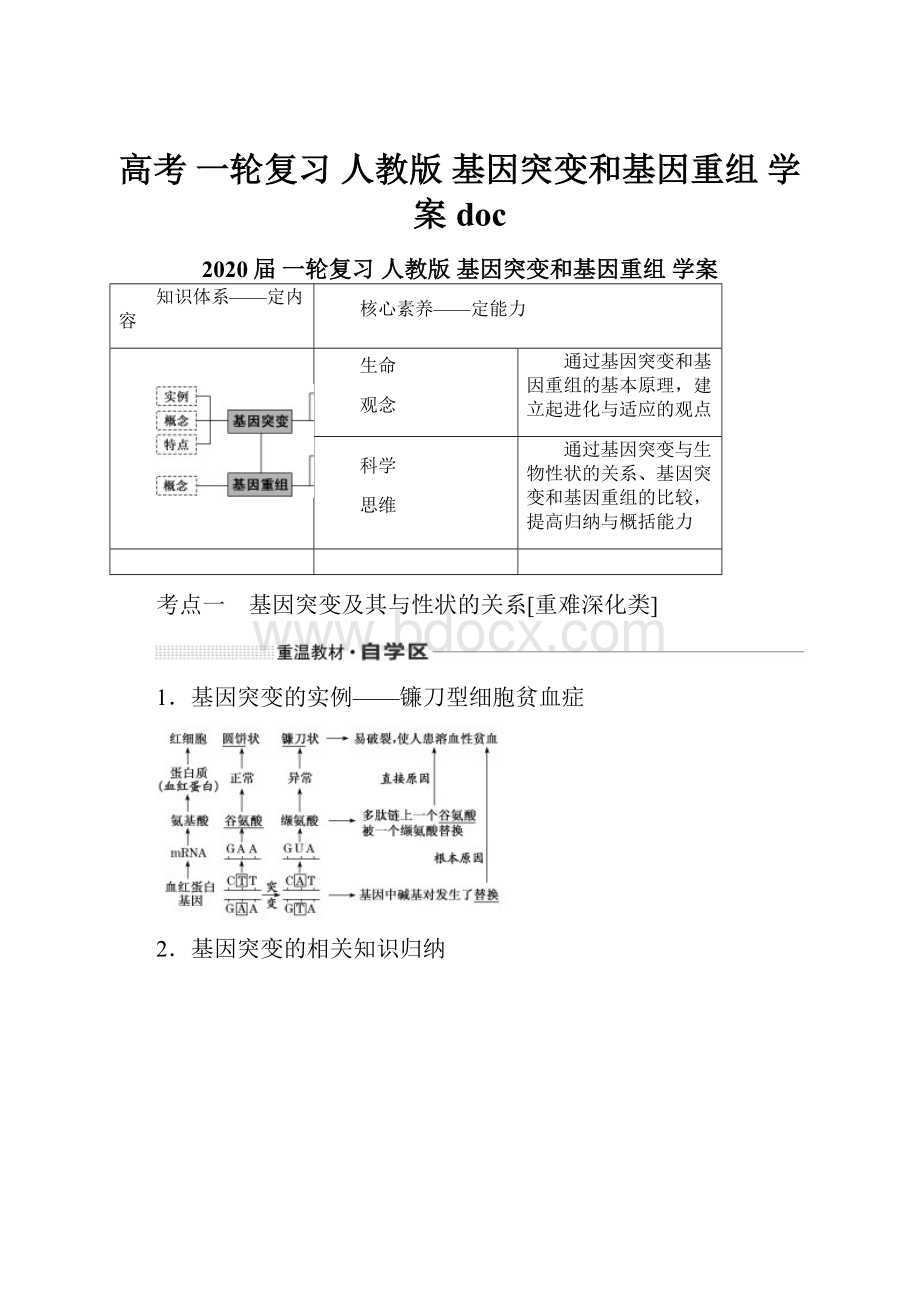 高考 一轮复习人教版 基因突变和基因重组 学案doc.docx