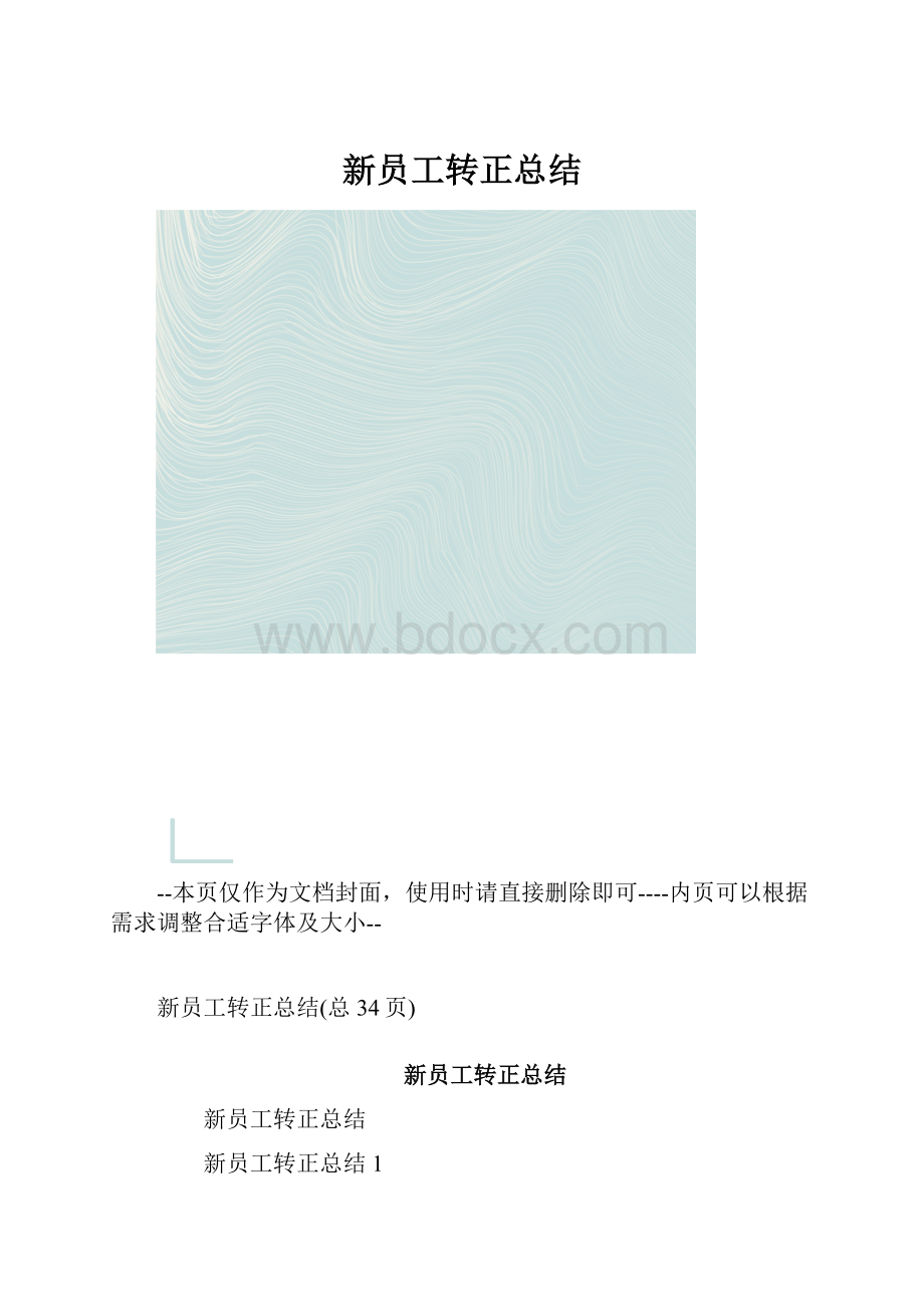 新员工转正总结.docx