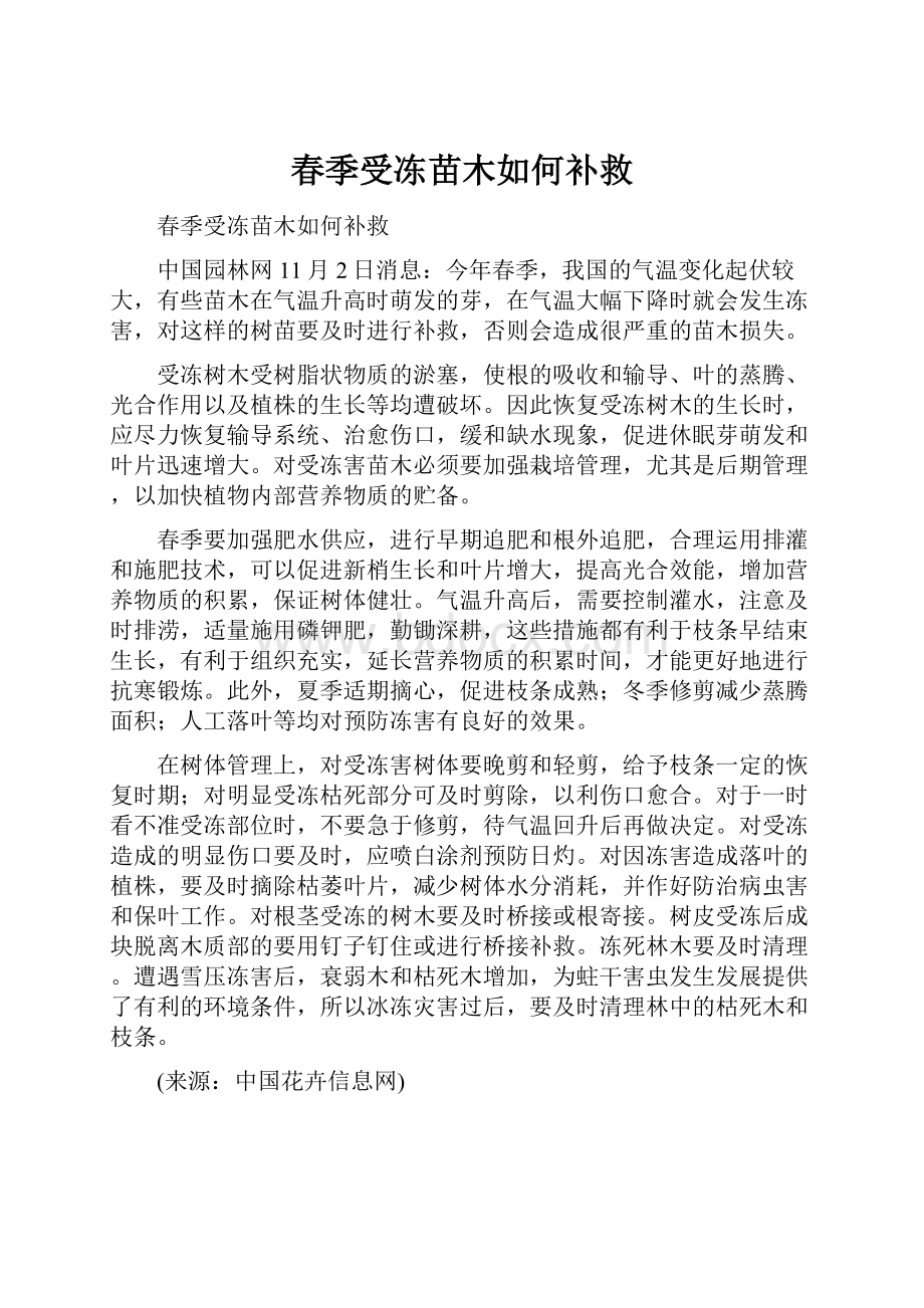 春季受冻苗木如何补救.docx_第1页