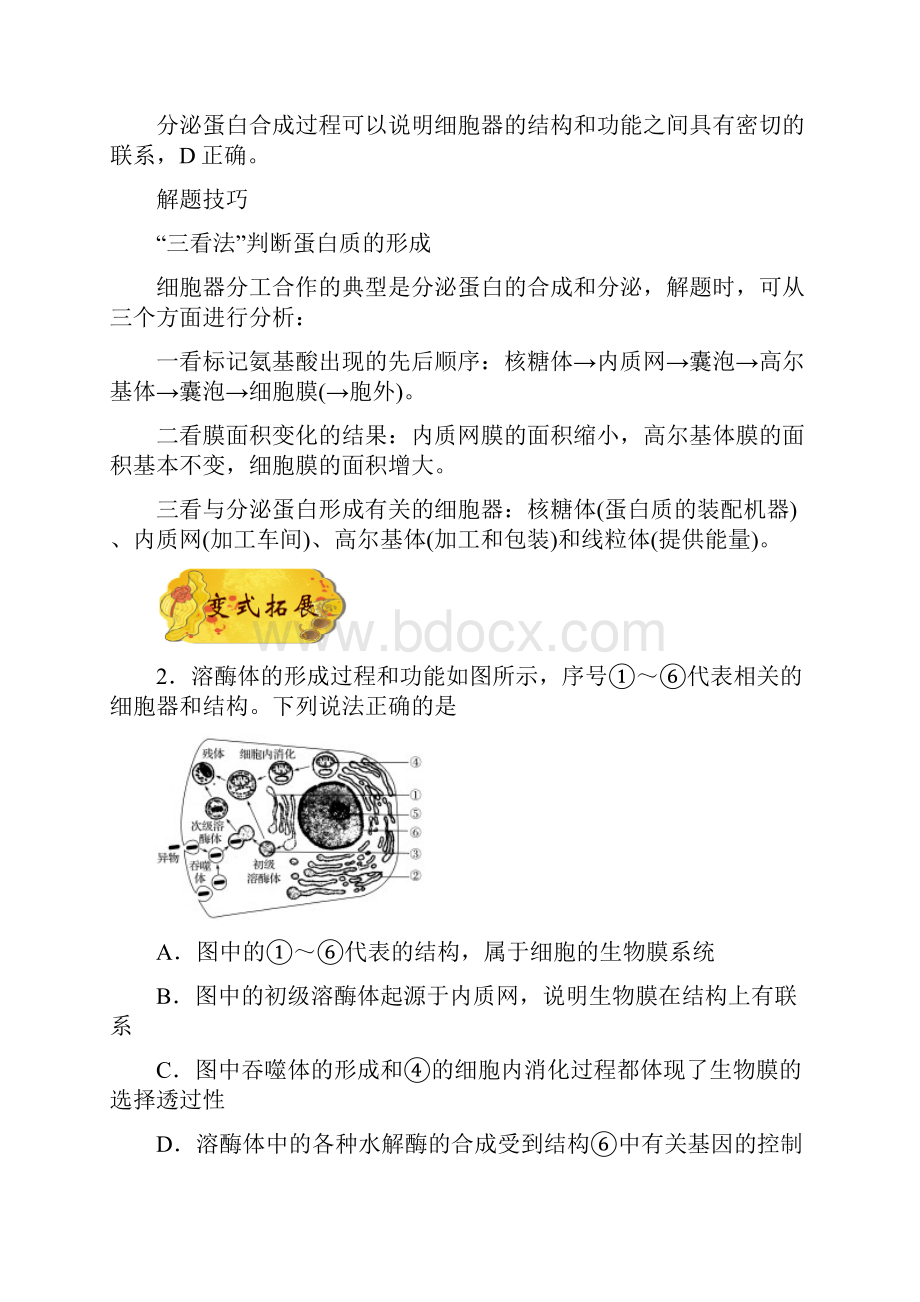 备战高考生物考点训练专题11 细胞的生物训练题膜系统含答案.docx_第3页