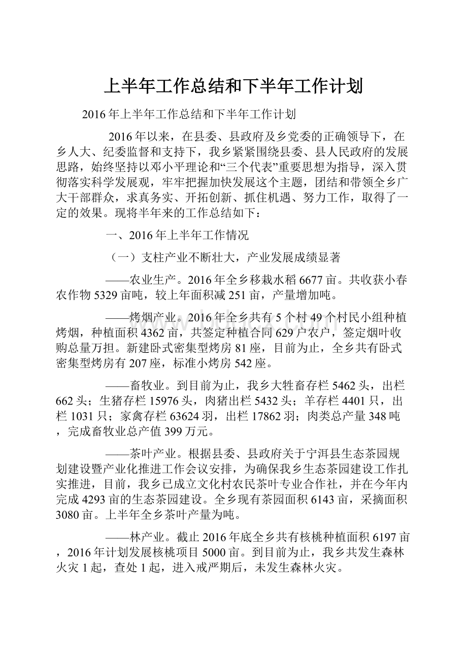 上半年工作总结和下半年工作计划.docx_第1页