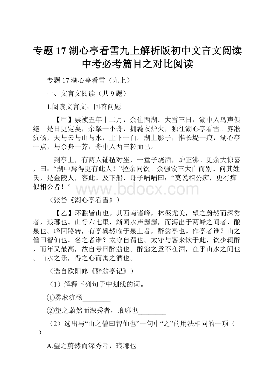 专题17湖心亭看雪九上解析版初中文言文阅读中考必考篇目之对比阅读.docx