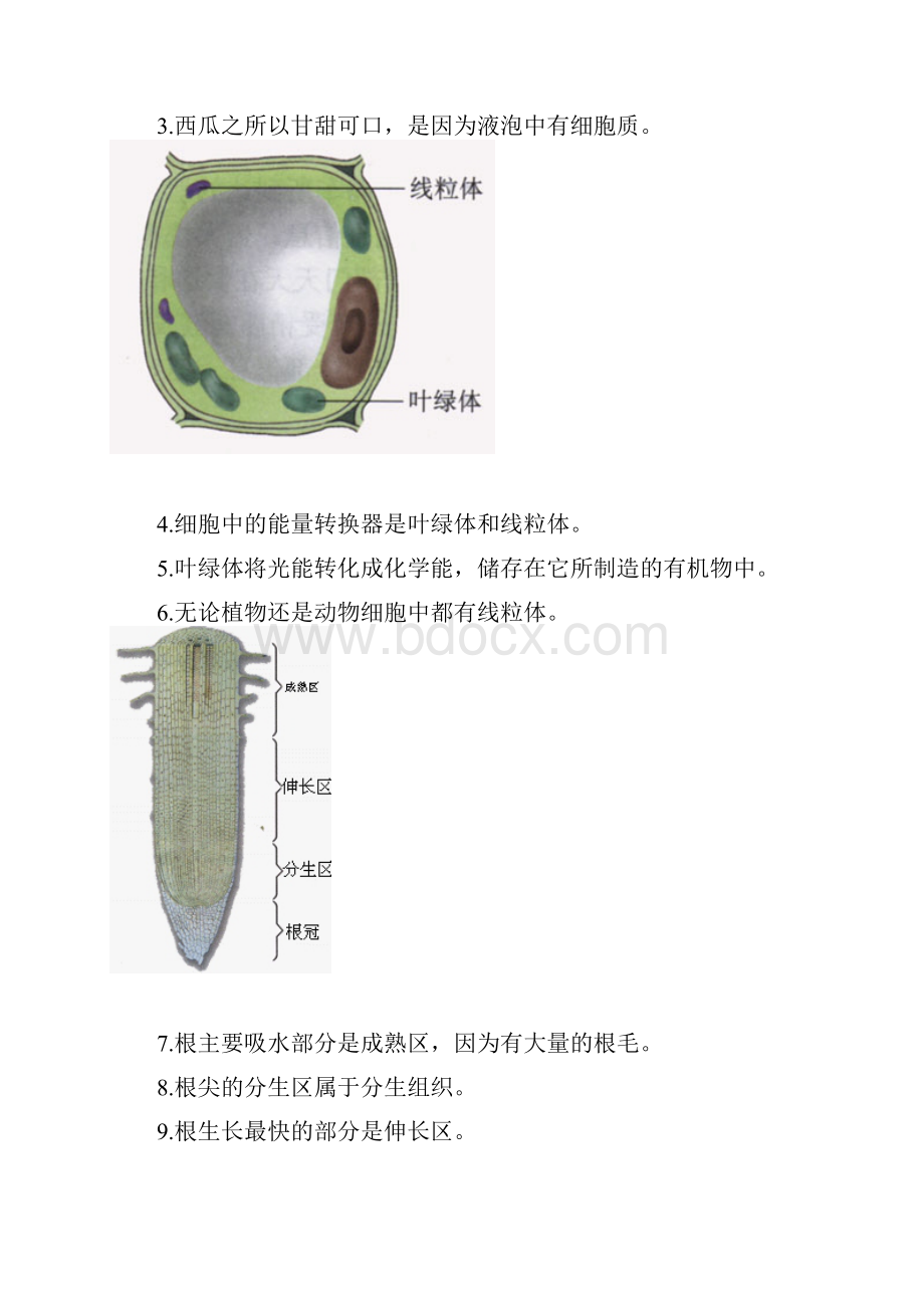 初中生物图集附题目人教版.docx_第2页