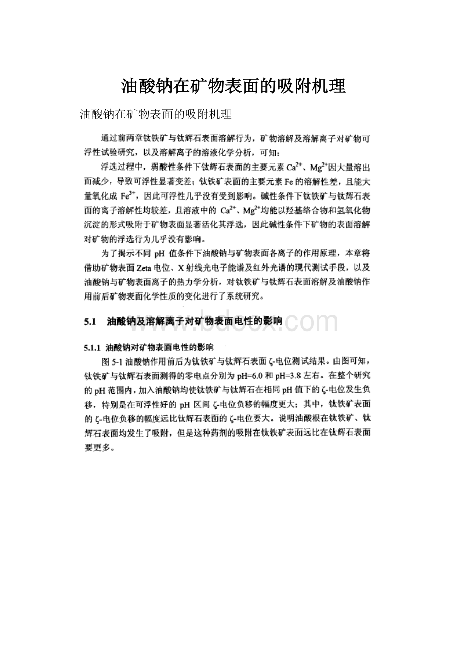 油酸钠在矿物表面的吸附机理.docx