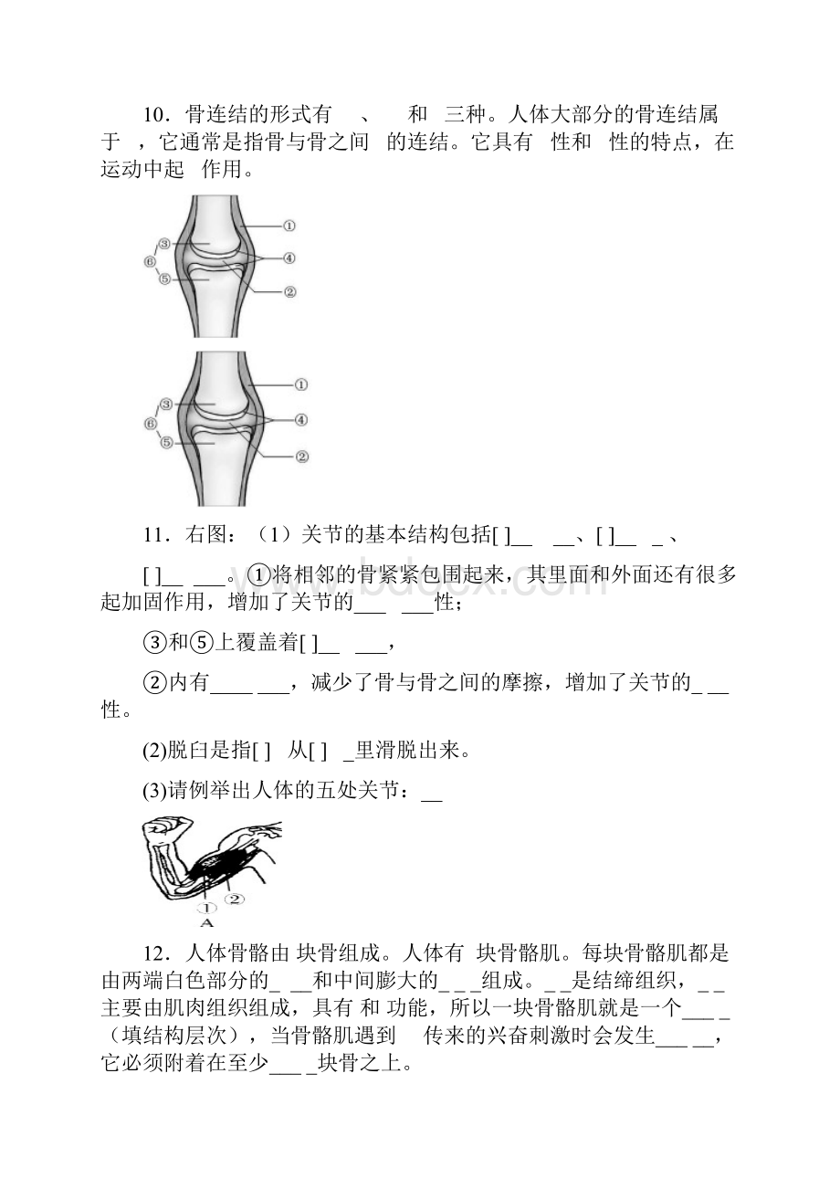 学年八上生物复习提纲汇总.docx_第3页