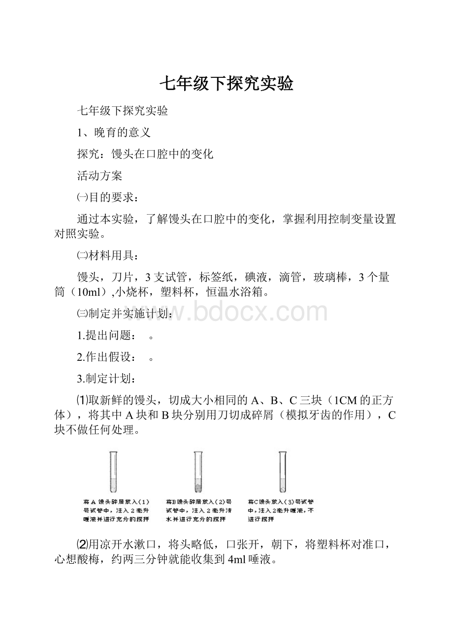 七年级下探究实验.docx_第1页