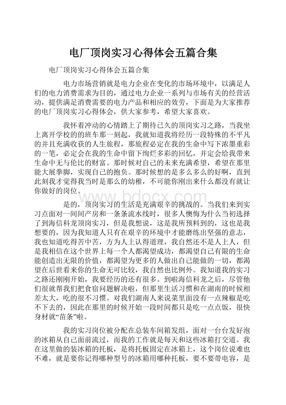 电厂顶岗实习心得体会五篇合集.docx