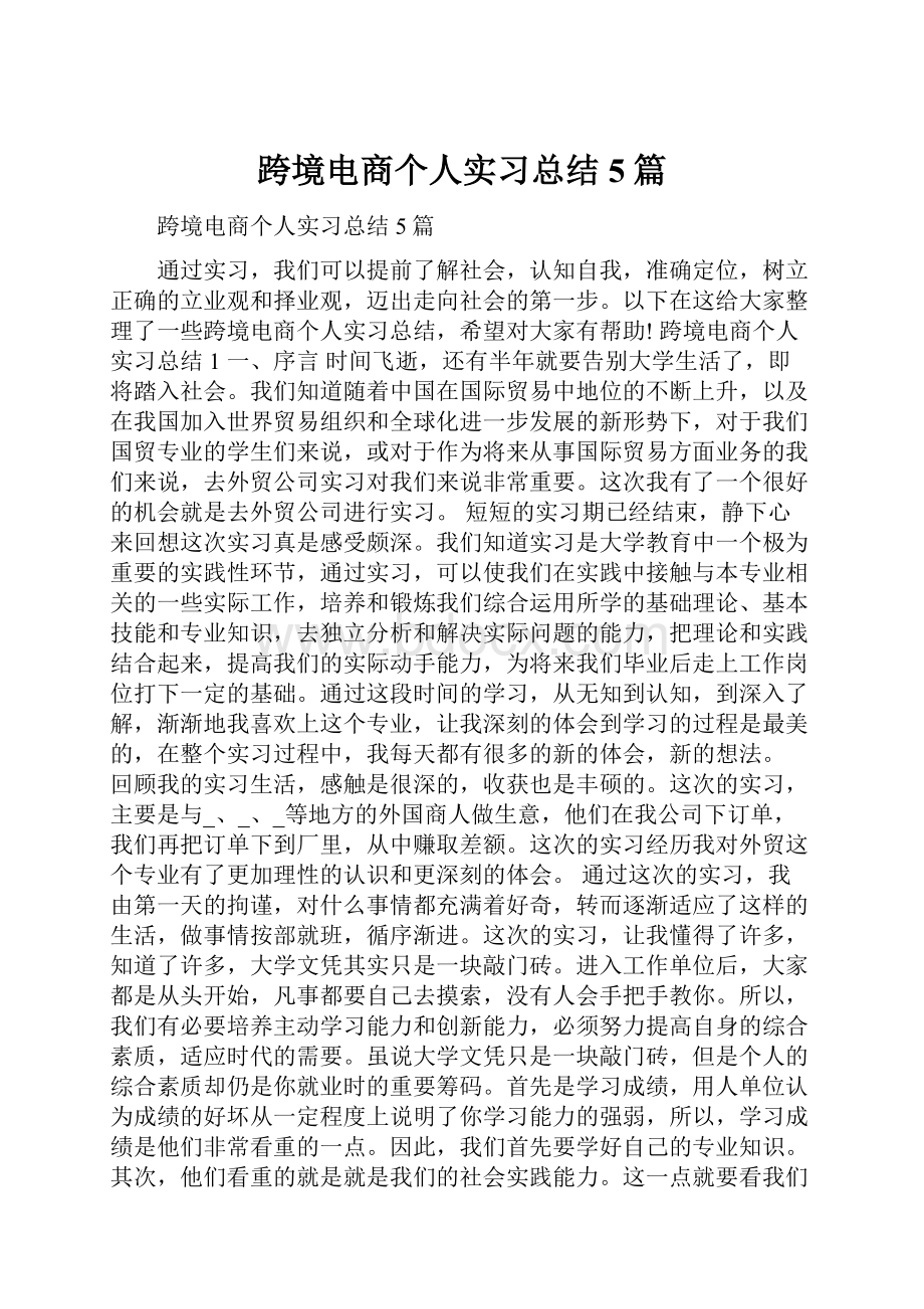 跨境电商个人实习总结5篇.docx