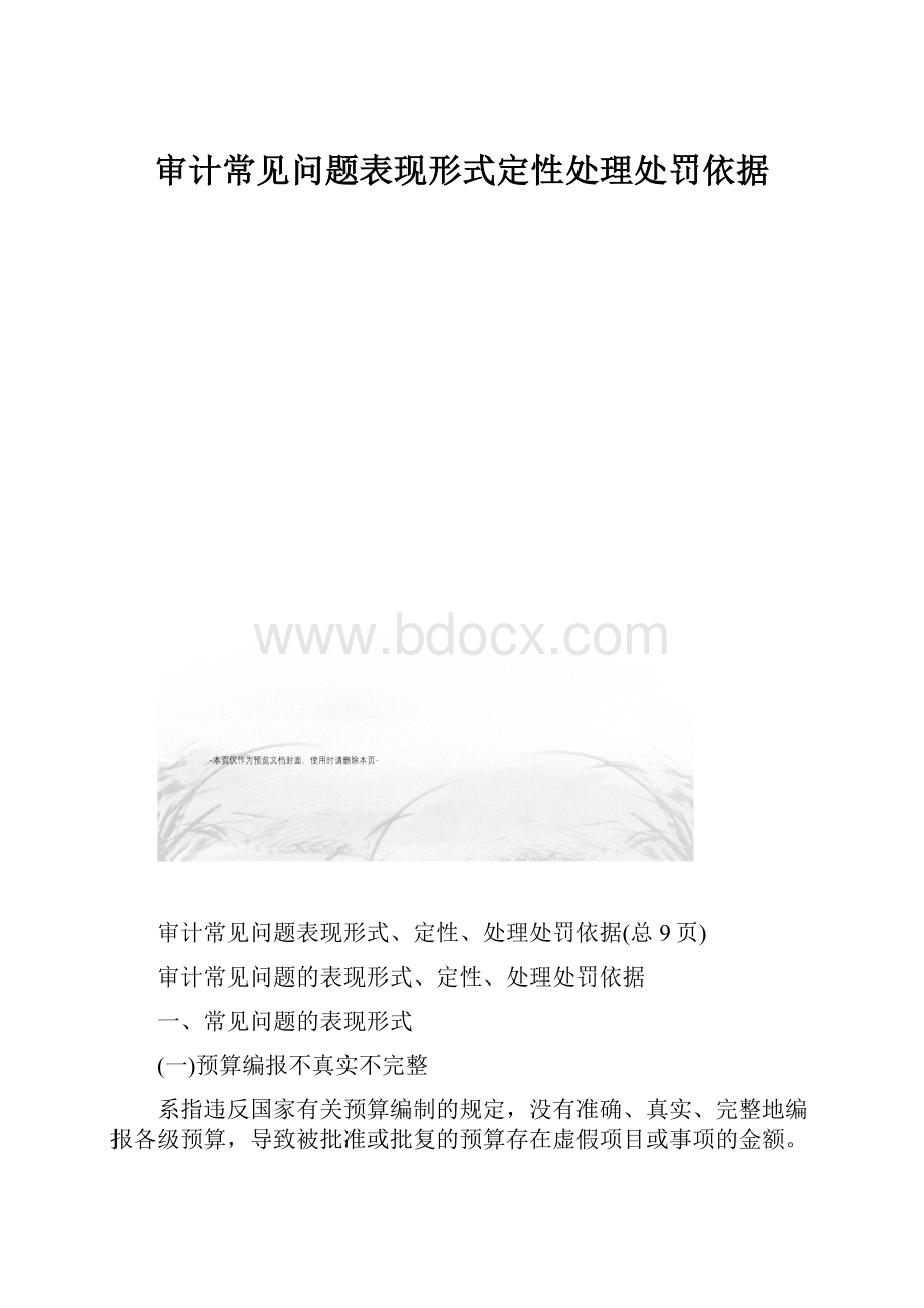 审计常见问题表现形式定性处理处罚依据.docx