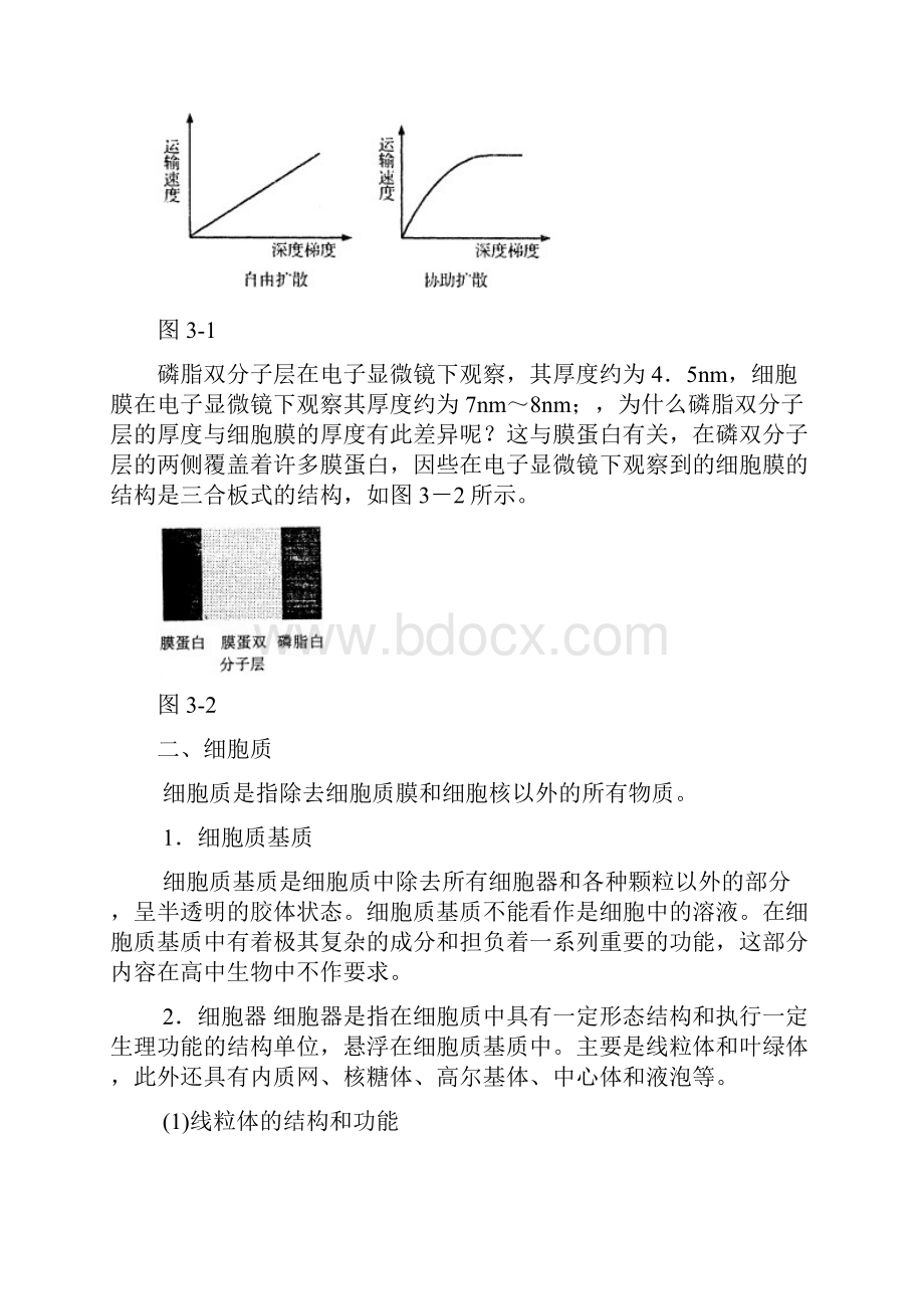 专题三细胞的结构与功能.docx_第3页