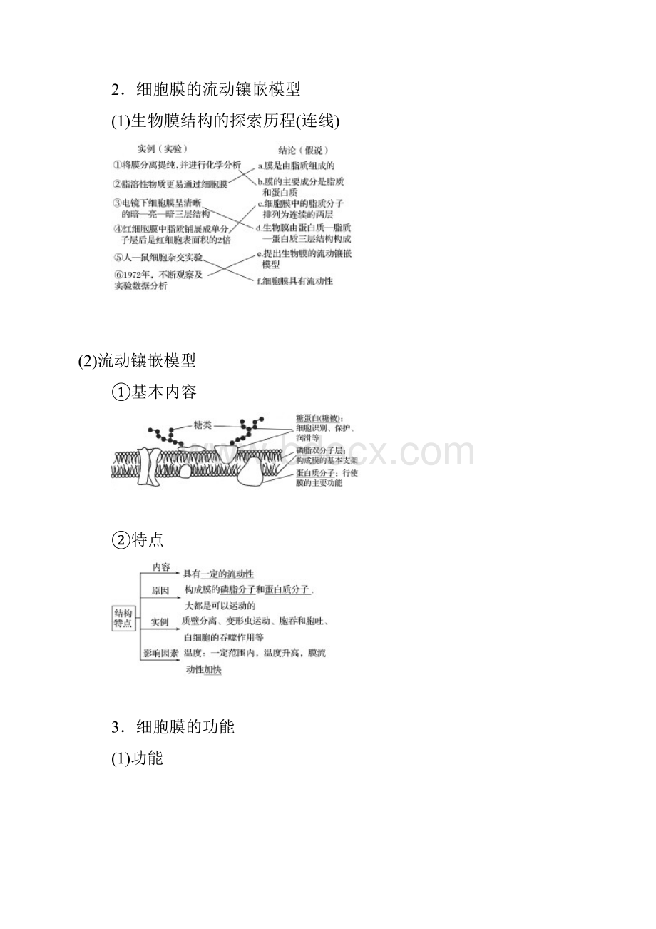 届高考生物一轮复习讲义 第2单元 第4讲细胞膜和细胞核.docx_第2页