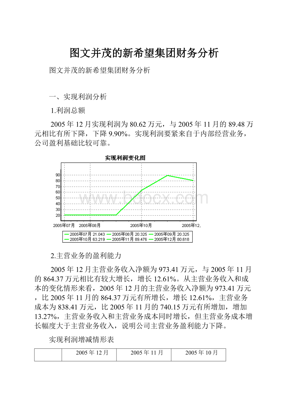 图文并茂的新希望集团财务分析.docx