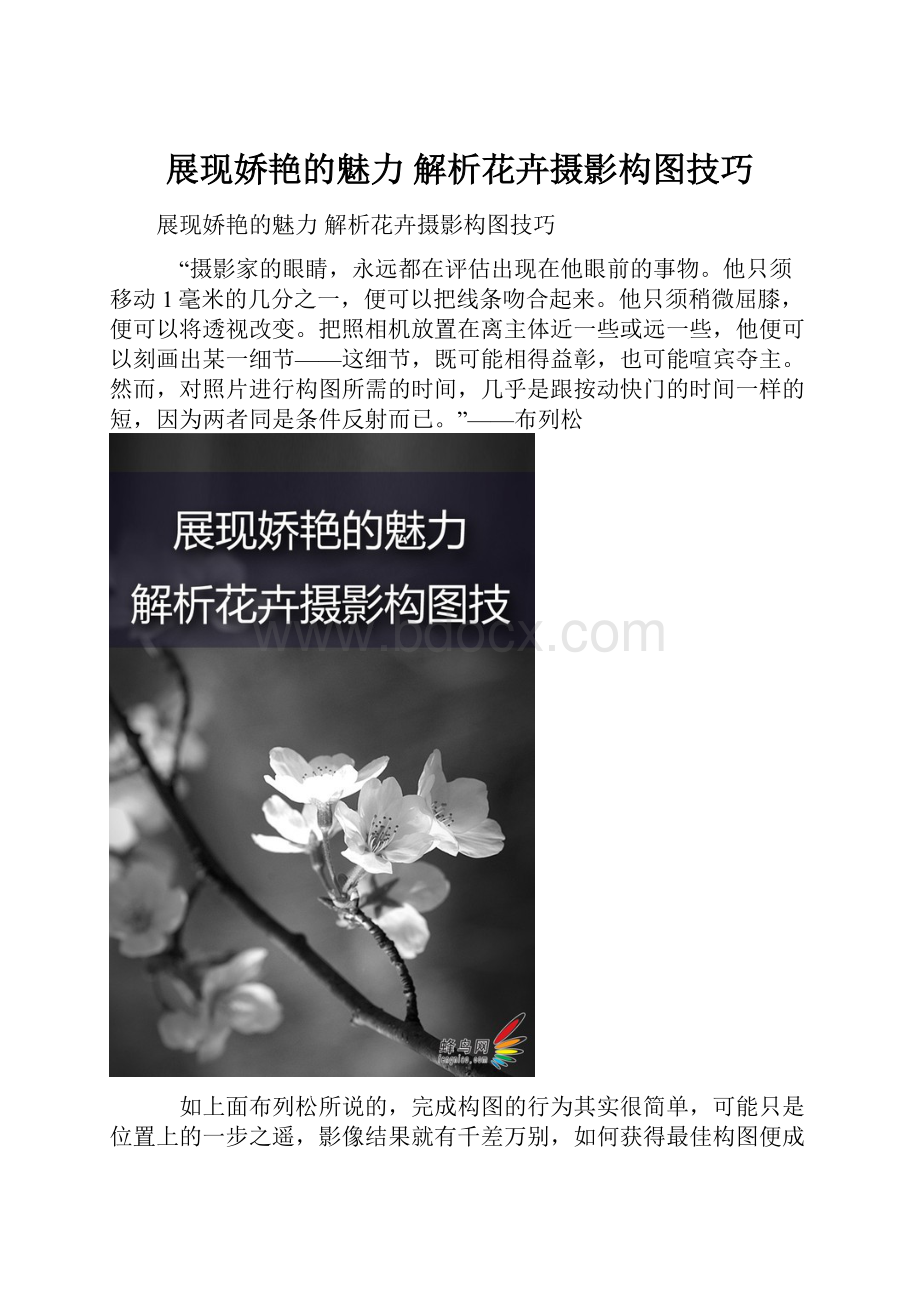 展现娇艳的魅力 解析花卉摄影构图技巧.docx_第1页