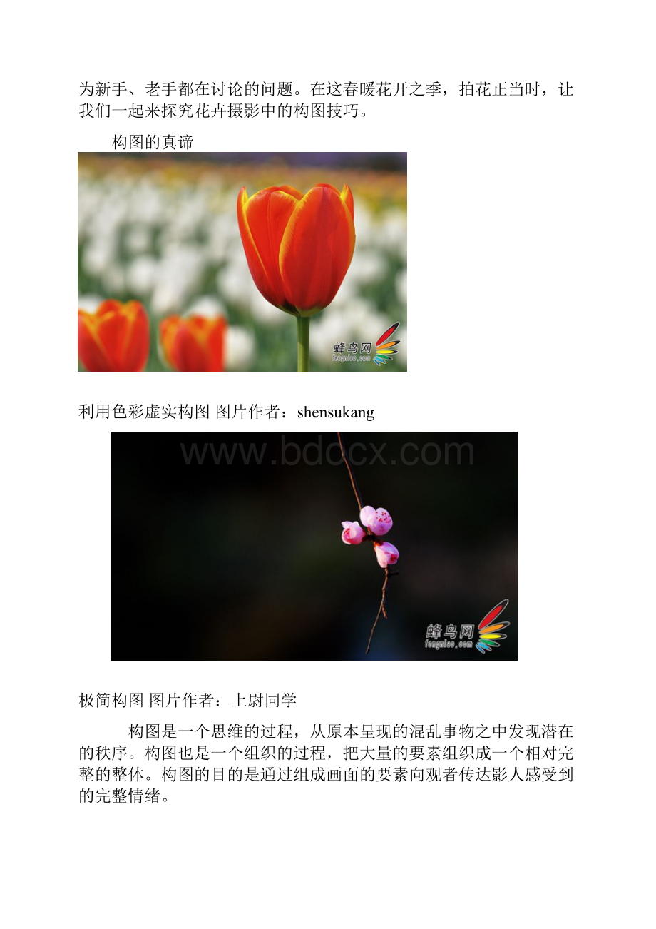 展现娇艳的魅力 解析花卉摄影构图技巧.docx_第2页