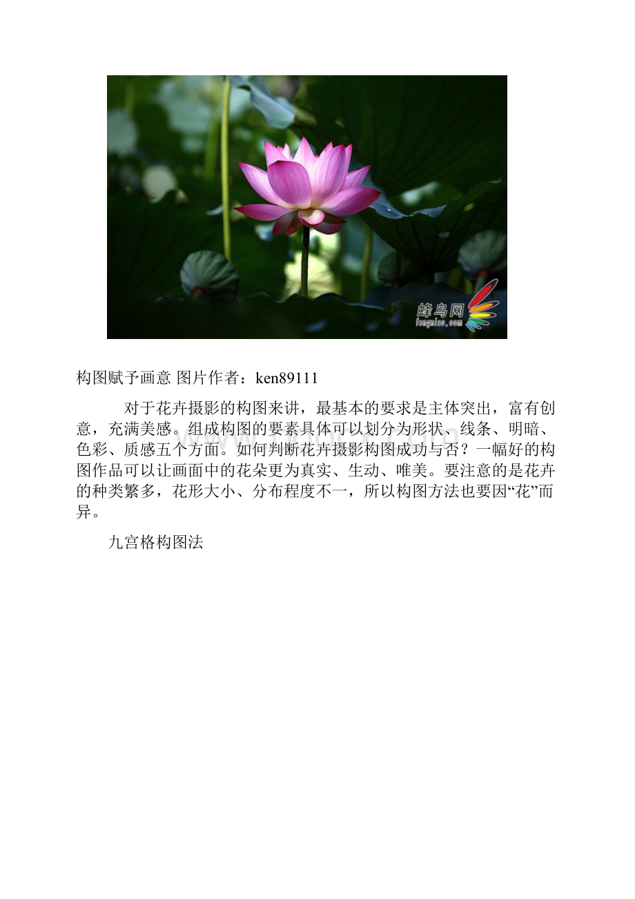 展现娇艳的魅力 解析花卉摄影构图技巧.docx_第3页