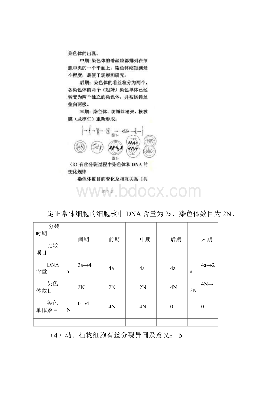 有丝和减数分裂区别.docx_第2页