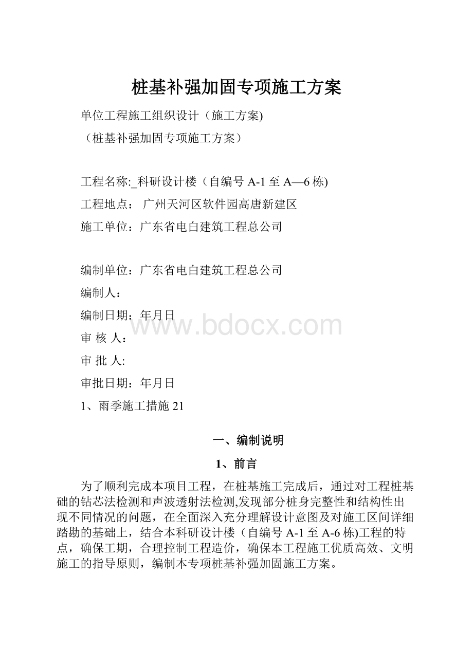 桩基补强加固专项施工方案.docx