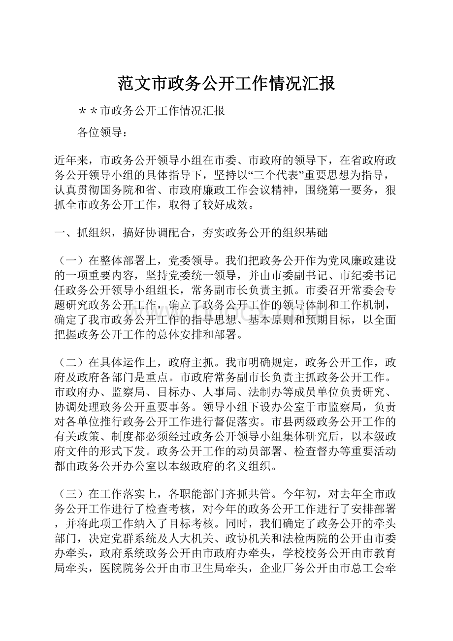 范文市政务公开工作情况汇报.docx