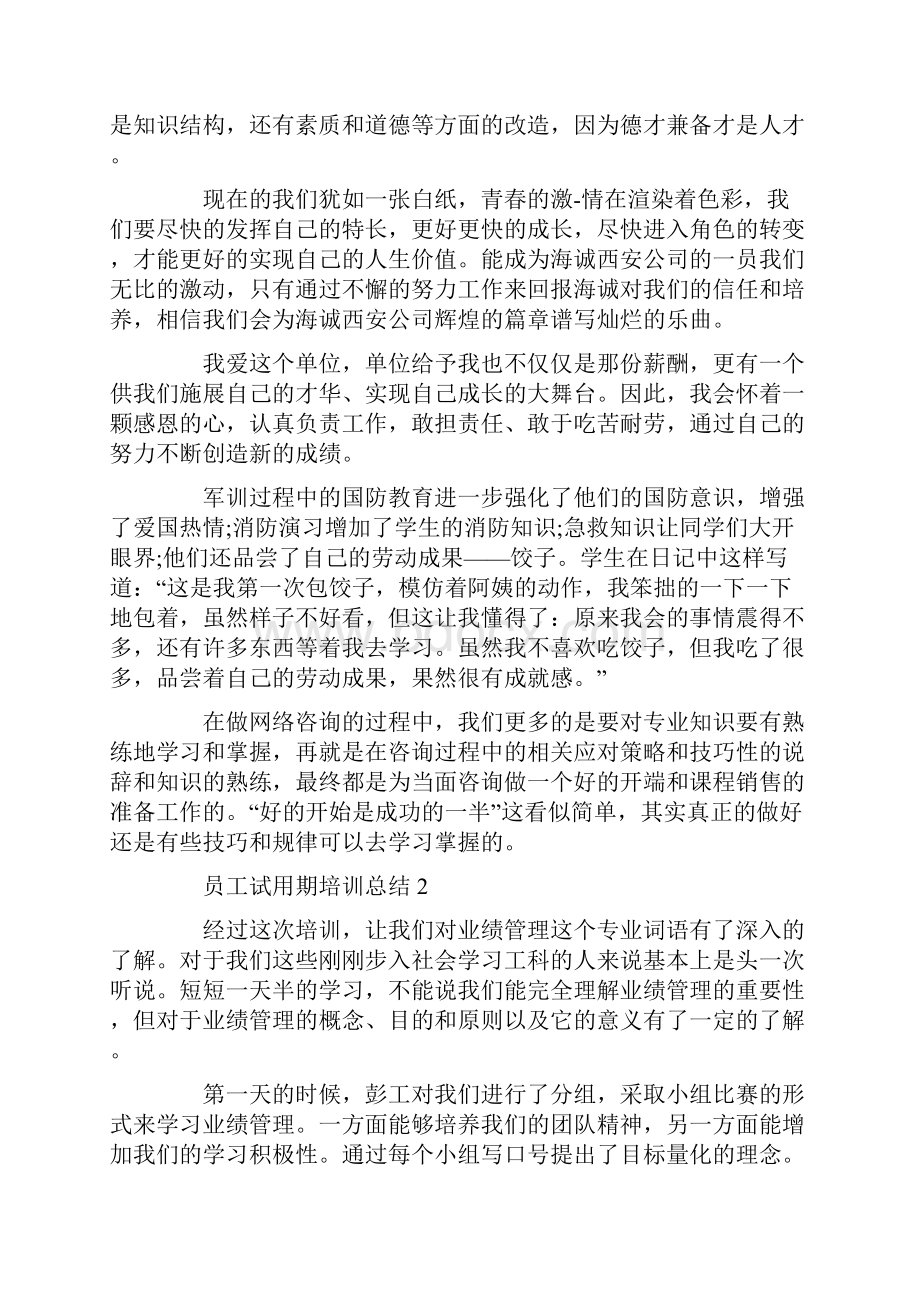 员工试用期培训总结4篇共13页.docx_第3页