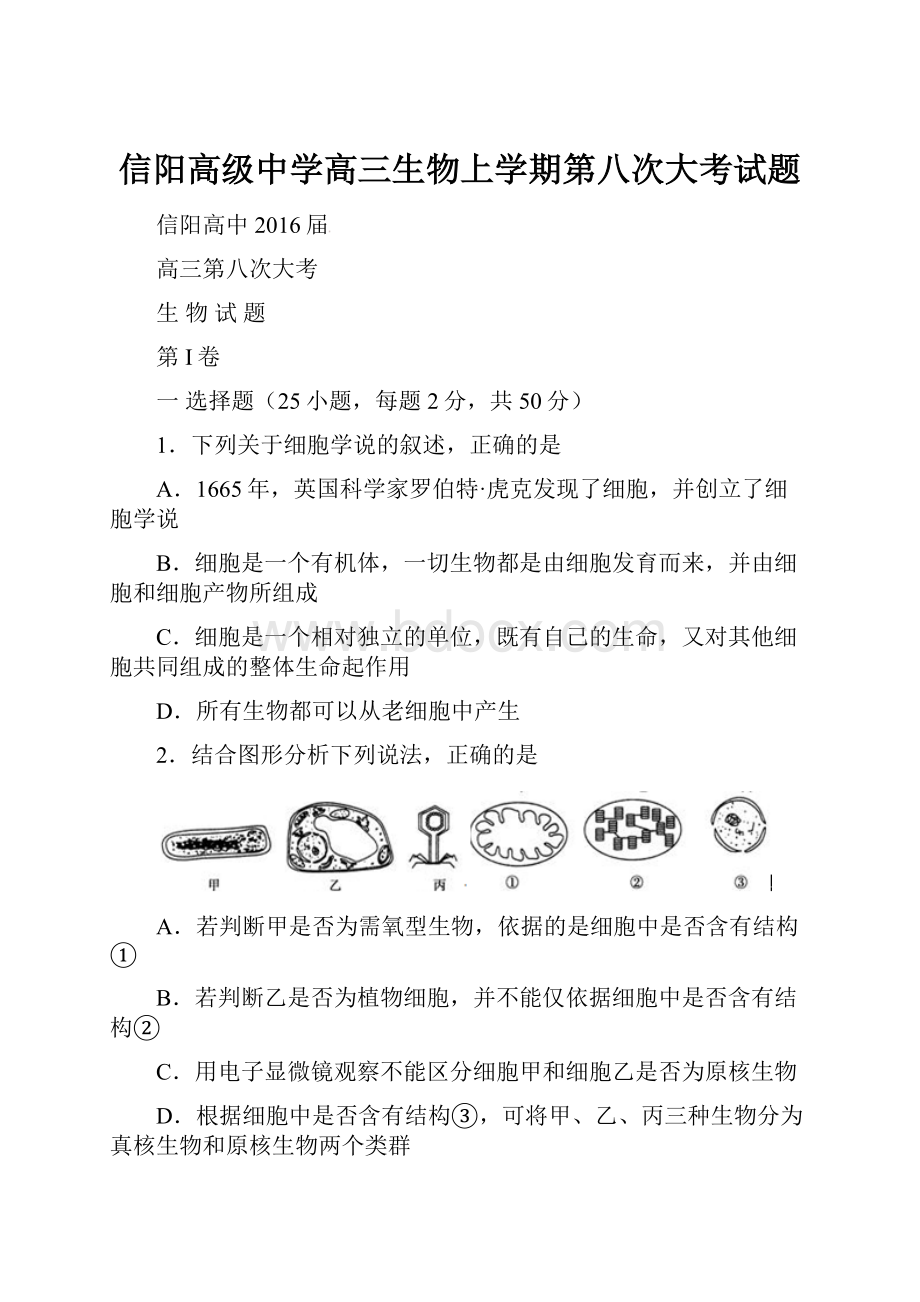 信阳高级中学高三生物上学期第八次大考试题.docx_第1页