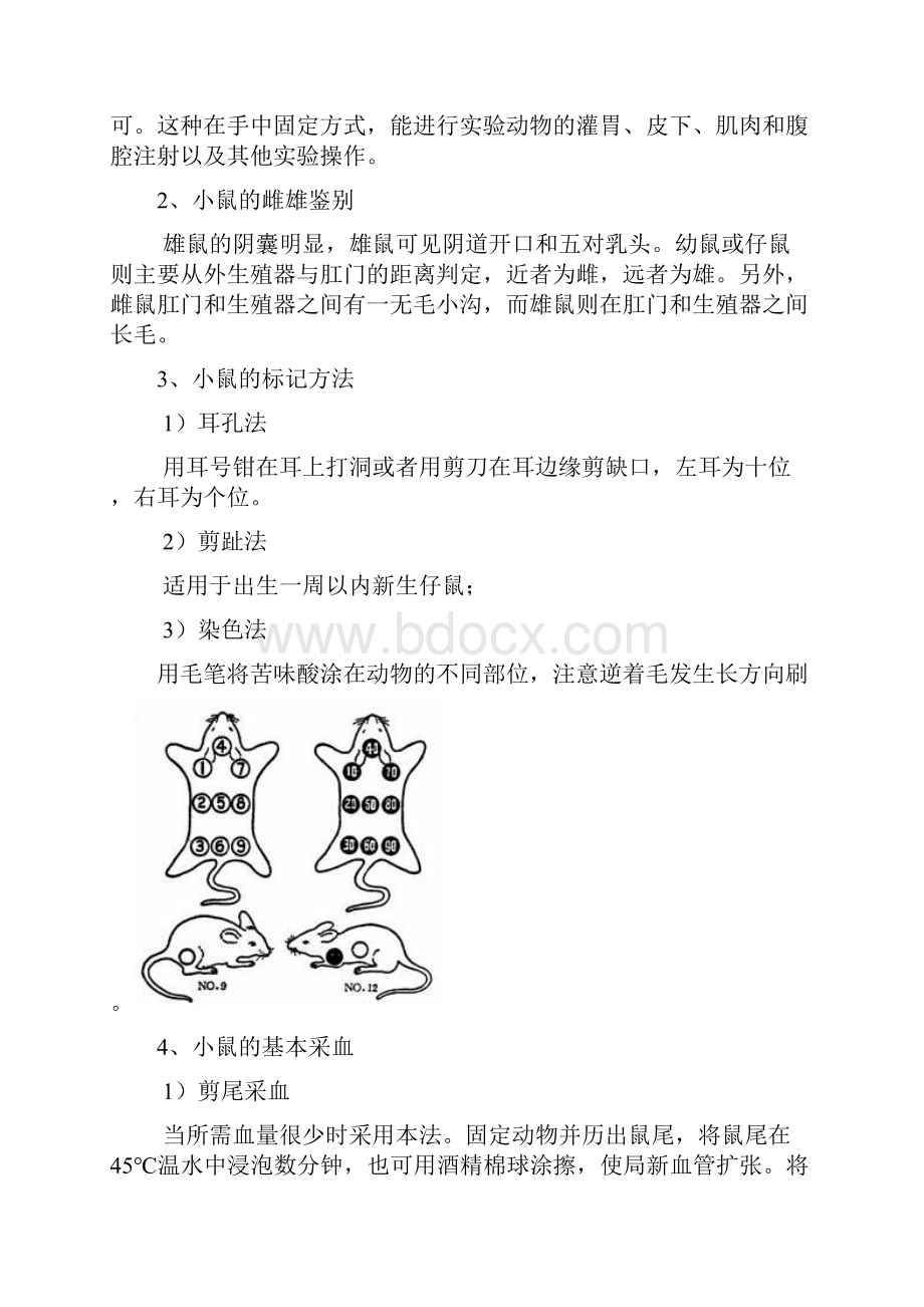 动物实验报告.docx_第2页