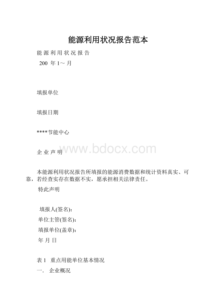 能源利用状况报告范本.docx_第1页