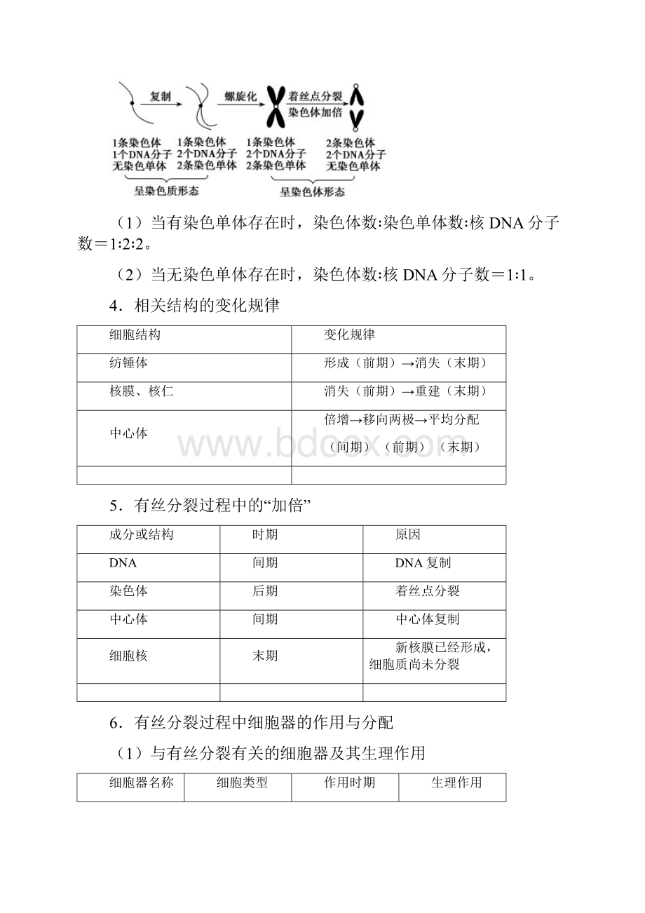 届二轮复习有丝分裂和减数分裂教案适用全国.docx_第3页