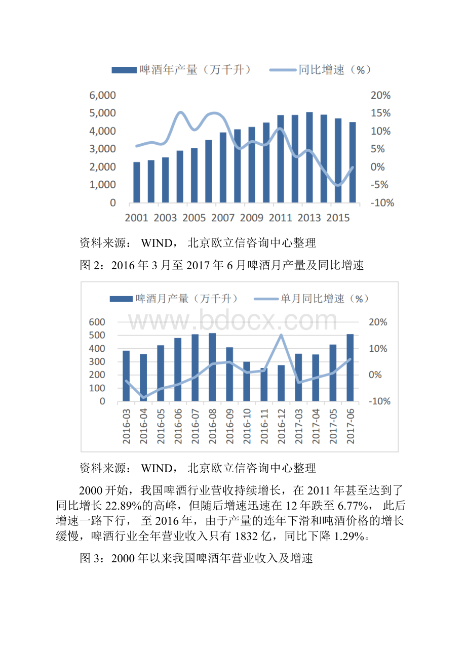 啤酒市场投资分析报告.docx_第2页