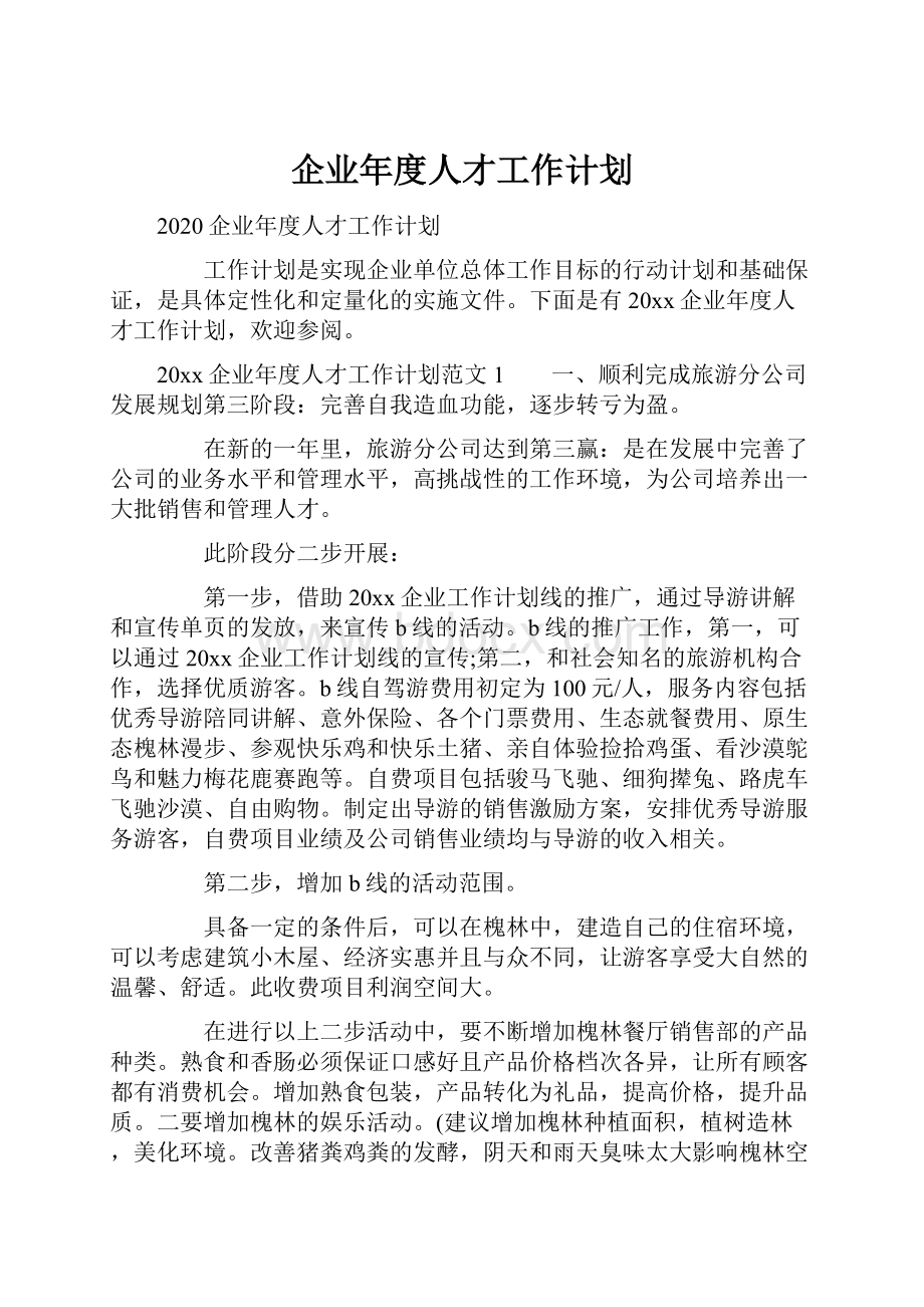 企业年度人才工作计划.docx