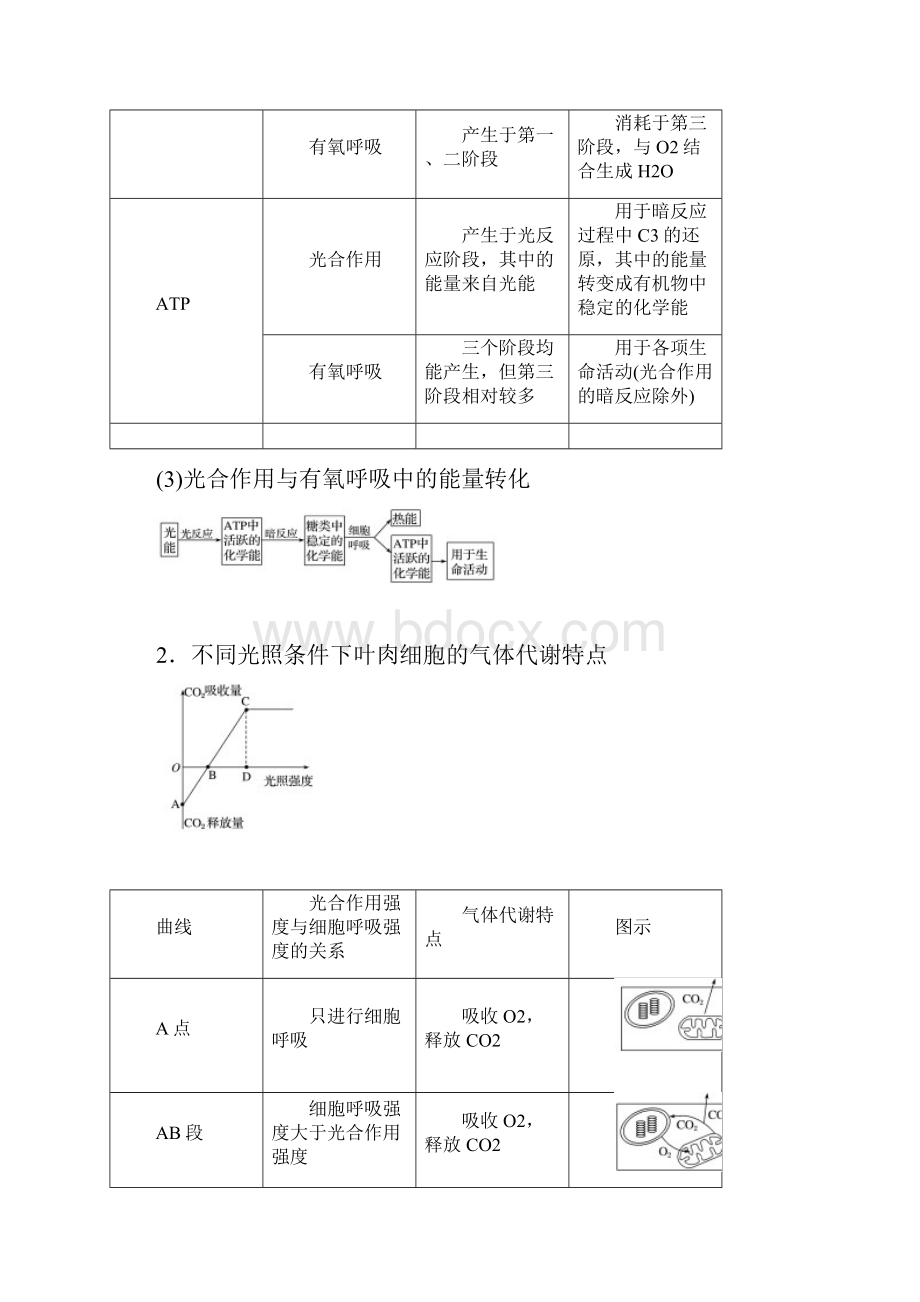 届高考生物一轮复习讲义 第3单元 第10讲光合作用与细胞呼吸的综合应用.docx_第3页