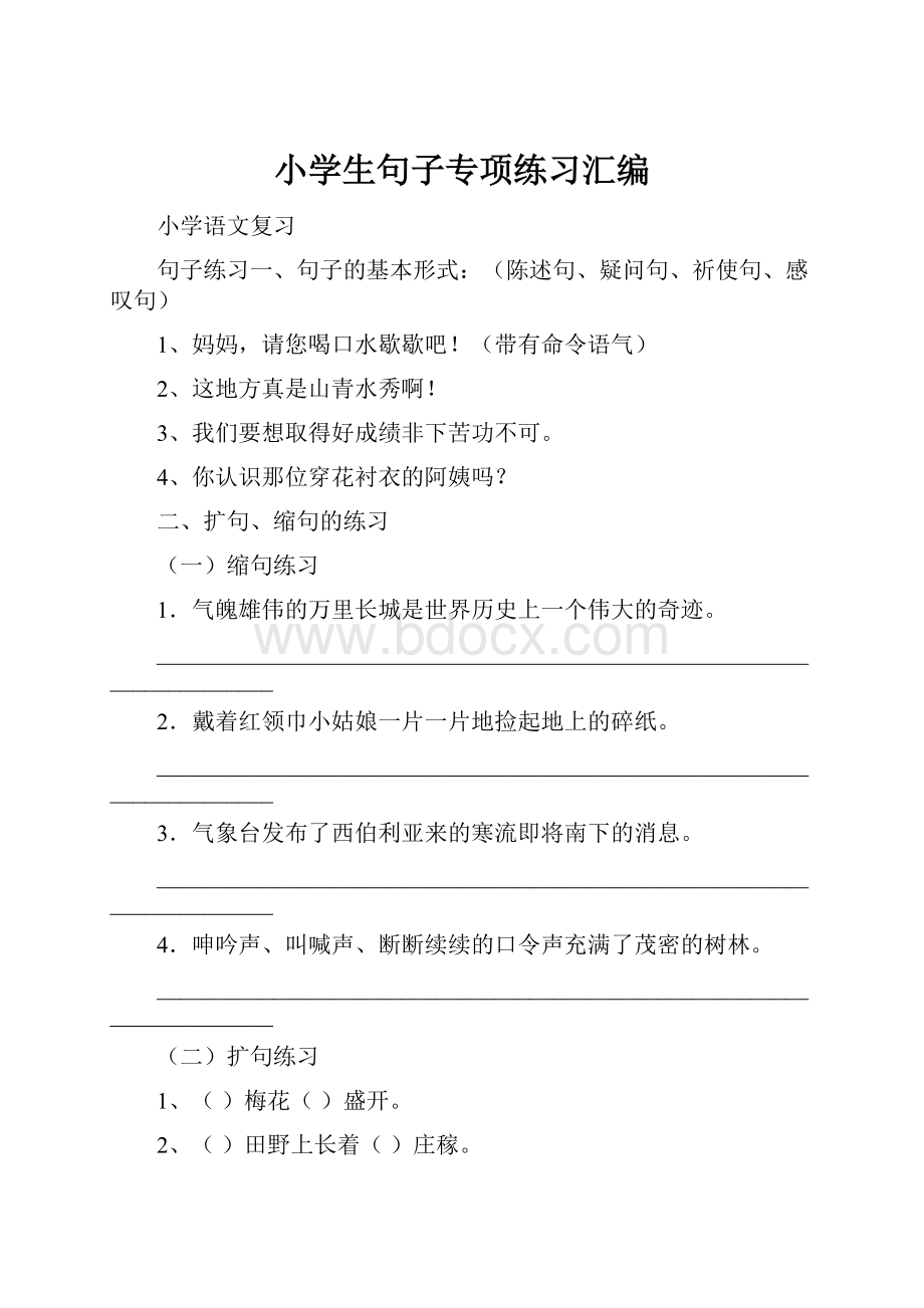 小学生句子专项练习汇编.docx