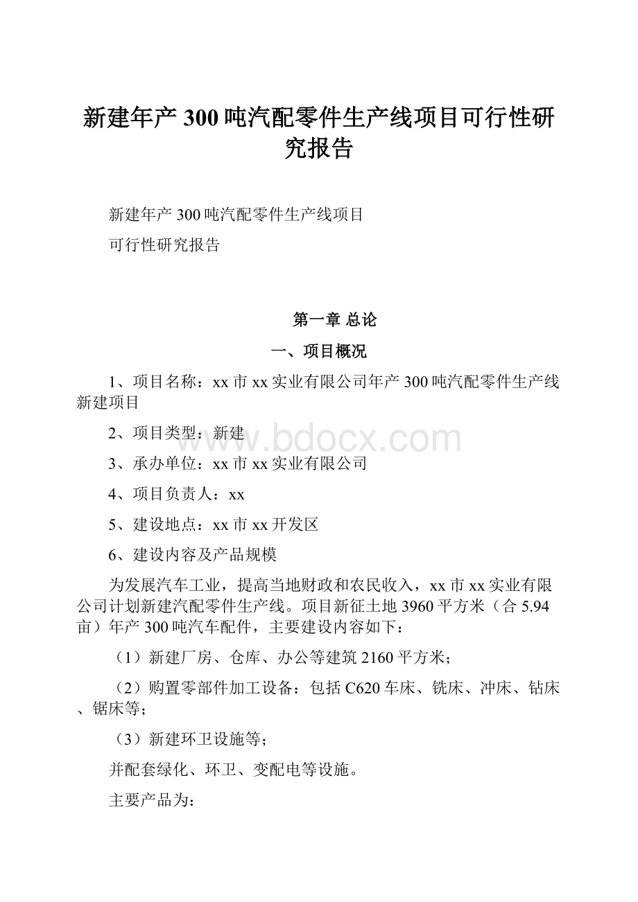 新建年产300吨汽配零件生产线项目可行性研究报告.docx_第1页