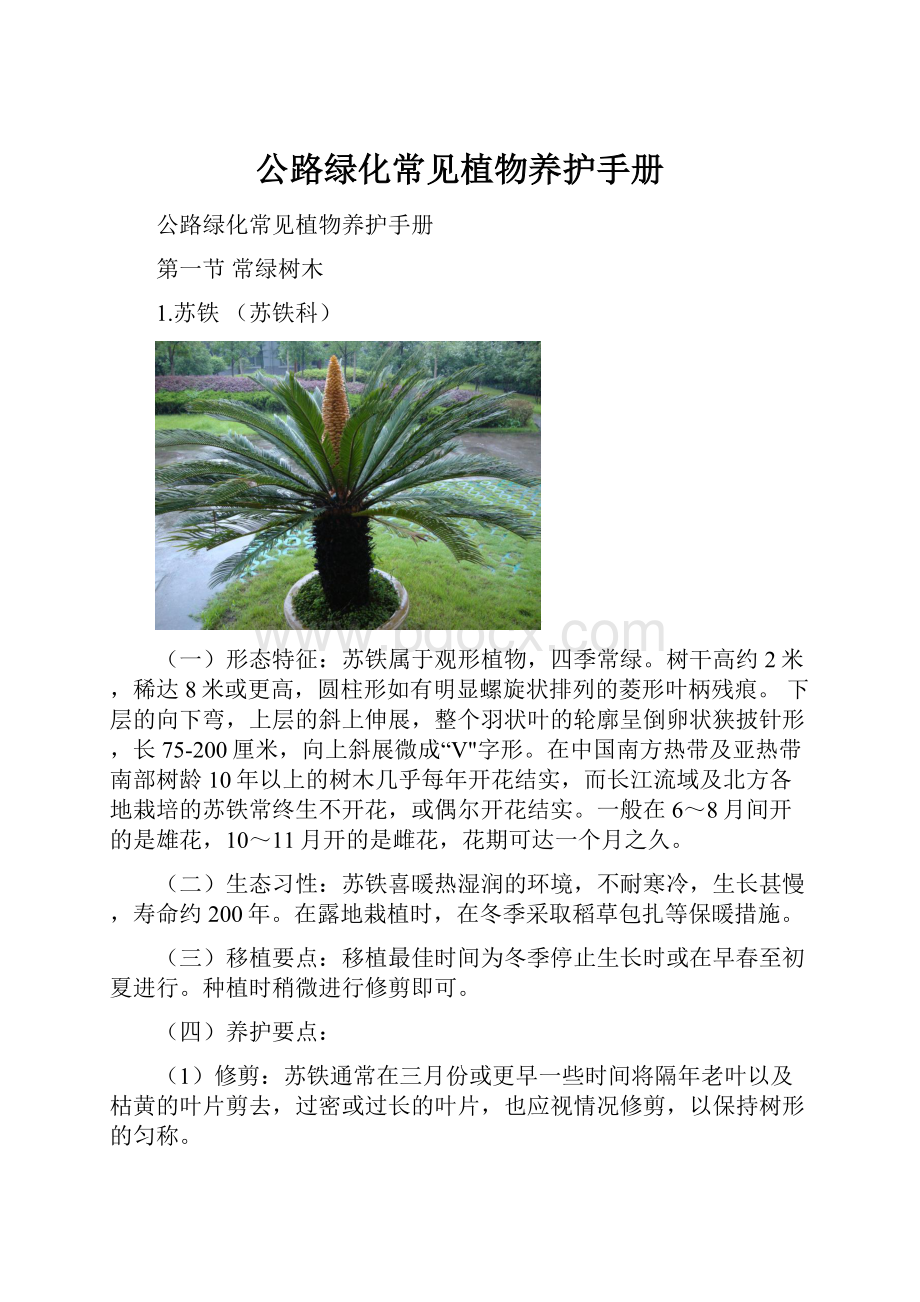 公路绿化常见植物养护手册.docx
