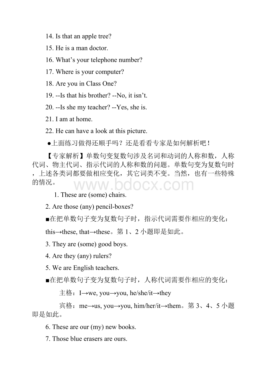 单数句变复数句六绝招之欧阳科创编.docx_第3页