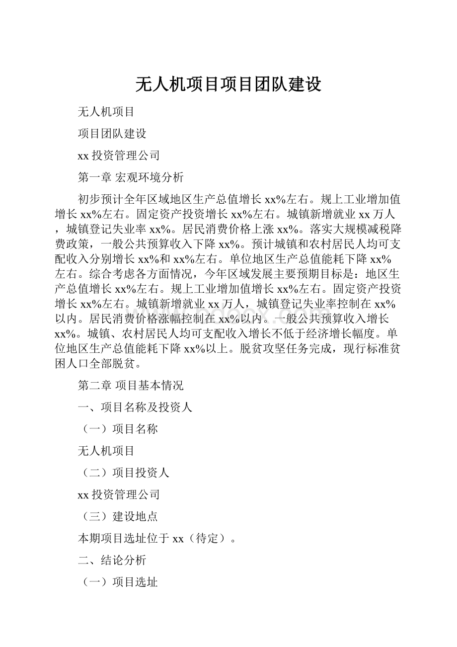 无人机项目项目团队建设.docx_第1页