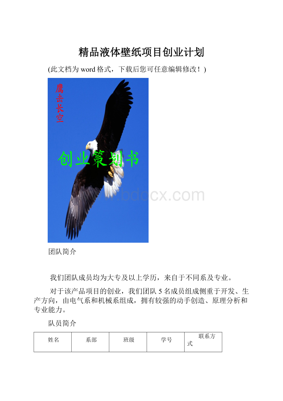 精品液体壁纸项目创业计划.docx